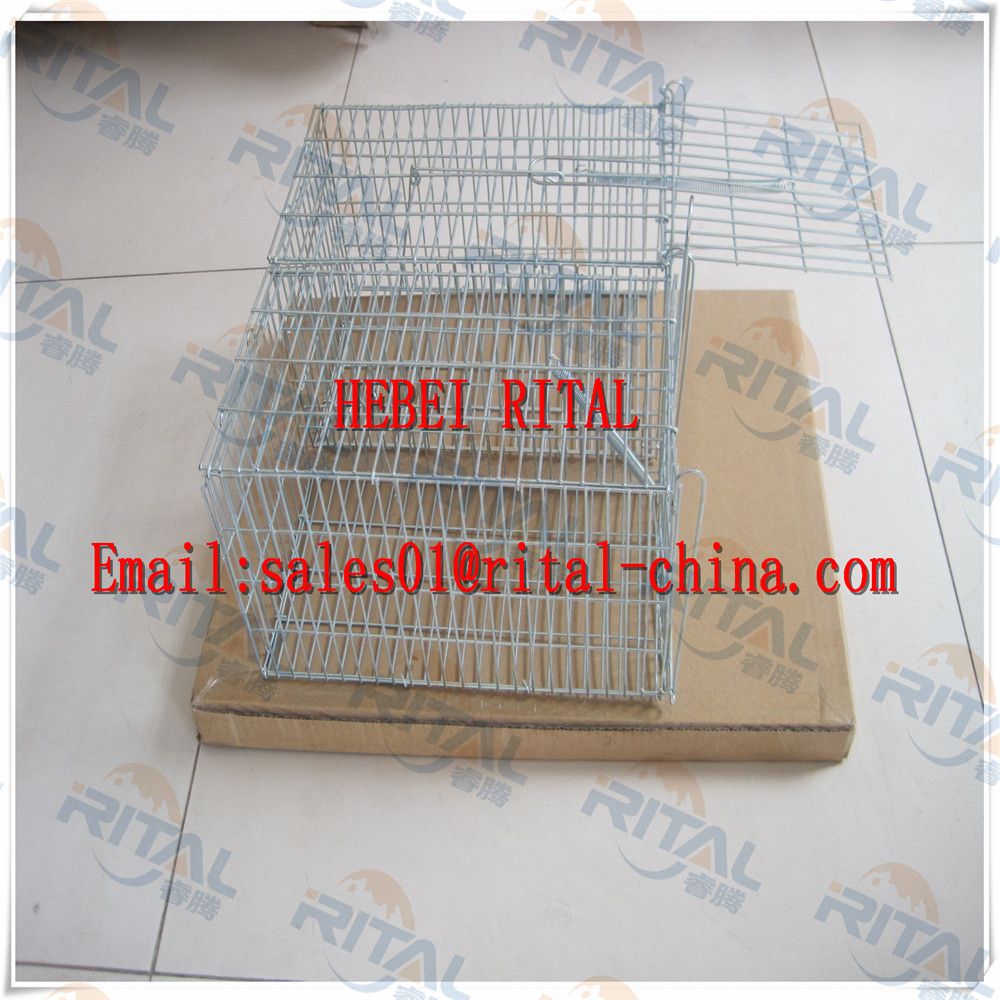 Hot sell for 2015  Mouse Trap Cage Rat Traps