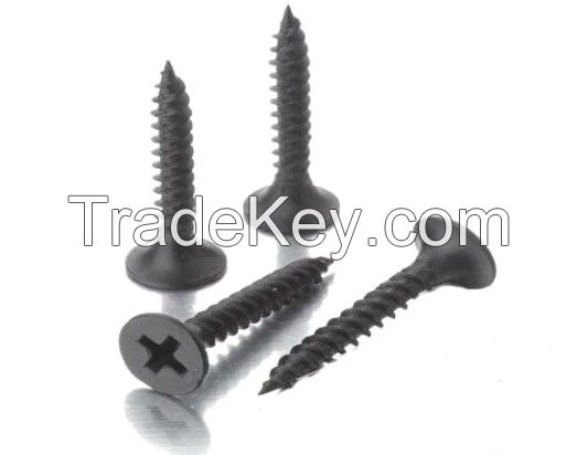 Drywall Screws