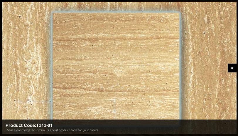 Turkagon Travertine T313-01