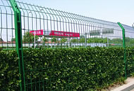 Wire Mesh Fence