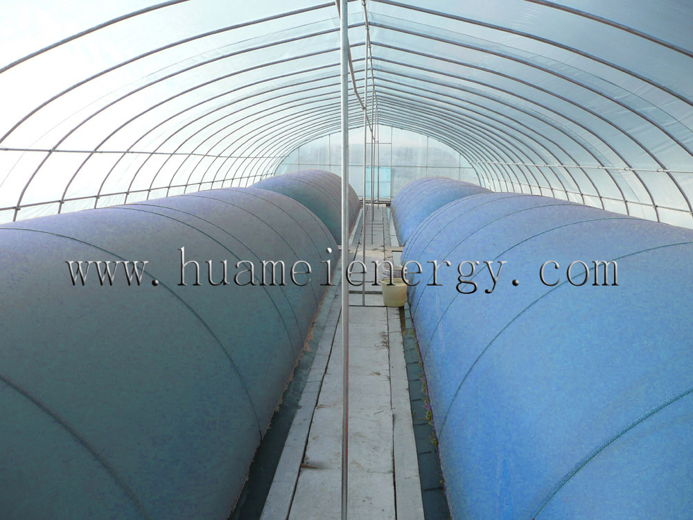 Biogas Plant