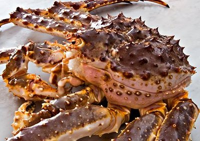 Live King Russian King Crab