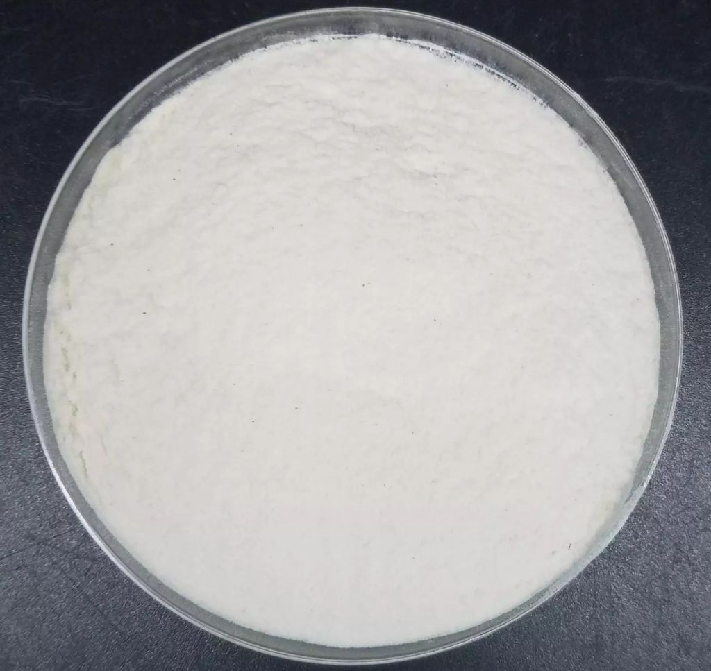 Professional Factory Hydroxypropyl Methylcellulose (HPMC) for Wall Putty , Mortar , Plaster