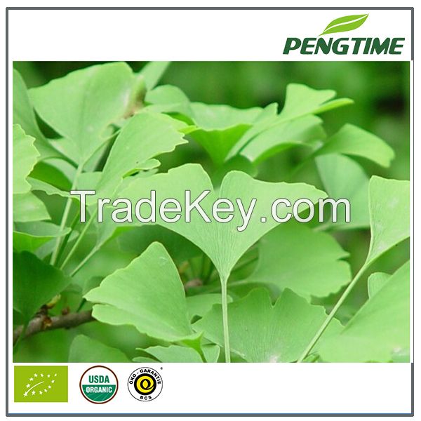 Organic ginkgo leaf