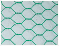 Hexagongal Wire Netting