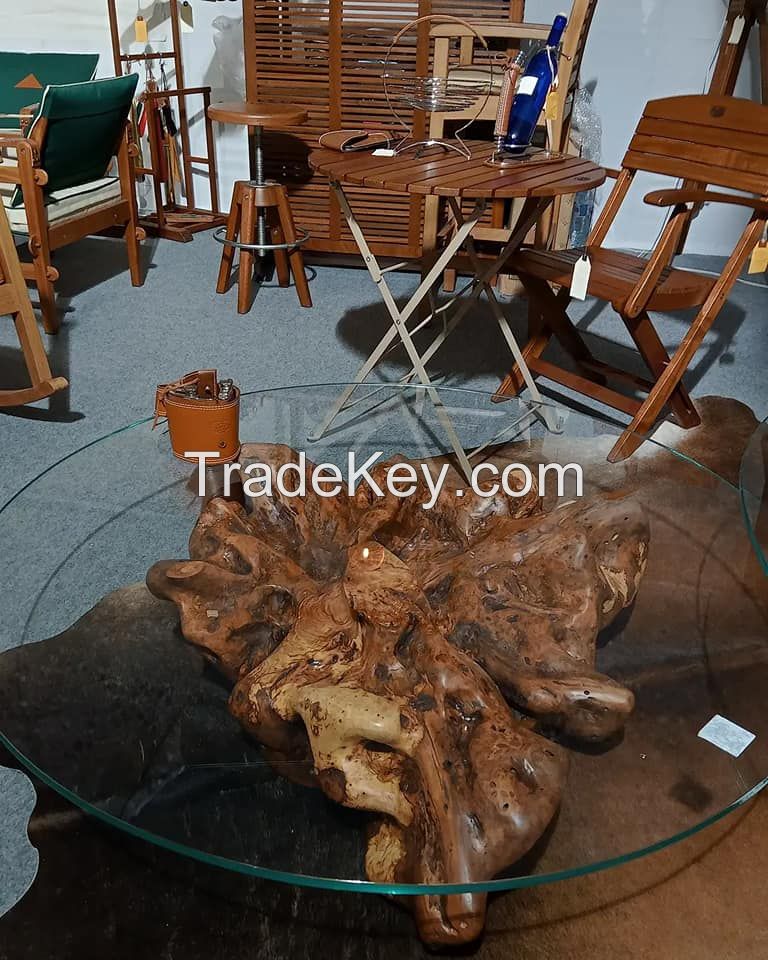 Olive Root Coffee Table