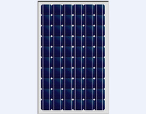 PV  Mono & Poly Solar Module
