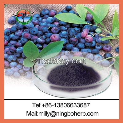 Bilberry Extract