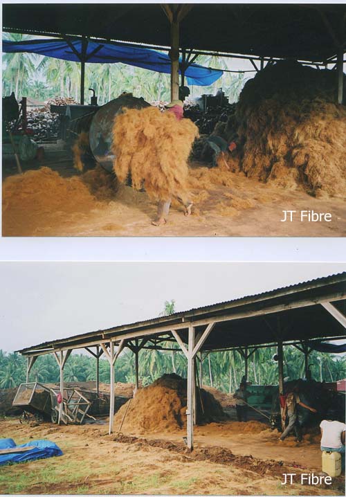 Coconut Fibre ( Coir )