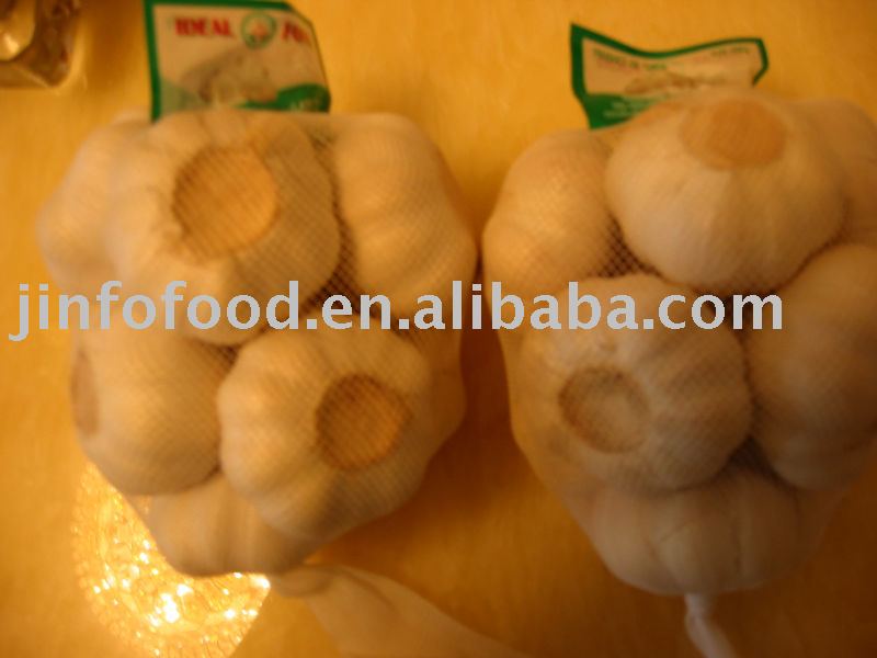 Garlic( garlic/garlic granule/powder)