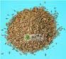 Burdock Seed Extract 40% Arctiin Arctium lappa L