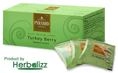 Turkey Berry : Pyramid