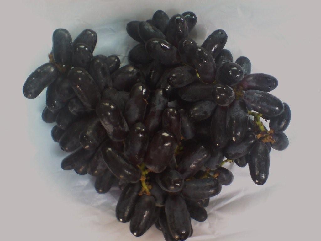 Grapes_Black