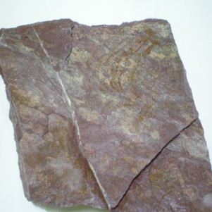 Stone Slate