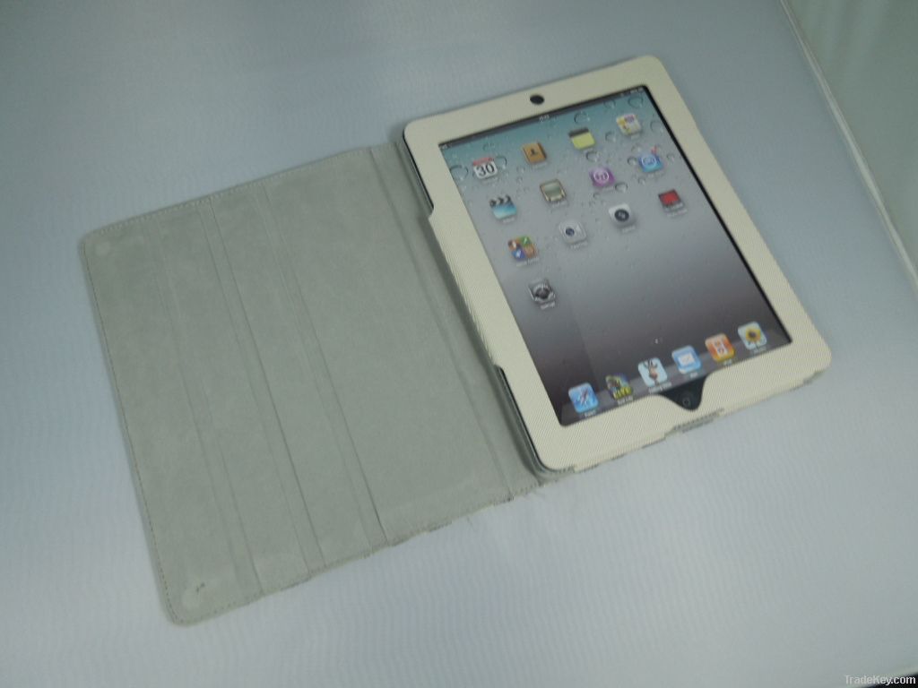 ipad case with Sinamay