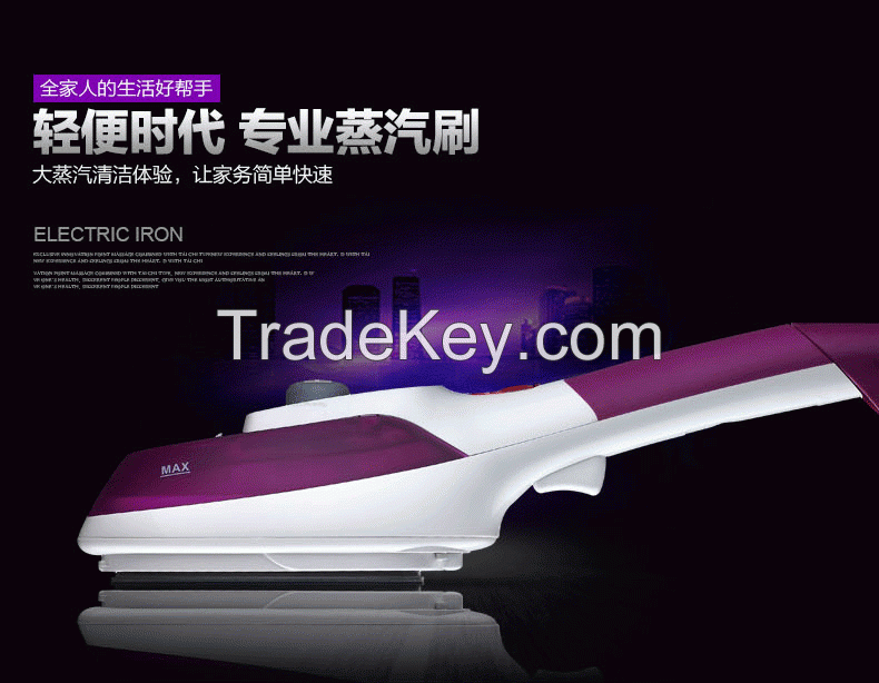 Hot Sale! 2016 New Styles Portable Handheld Clothes Steam Iron Brush Mini Factory Price