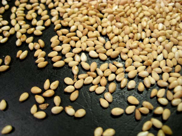 Sesame seeds , Oil