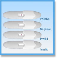 One Step Malaria pf Test