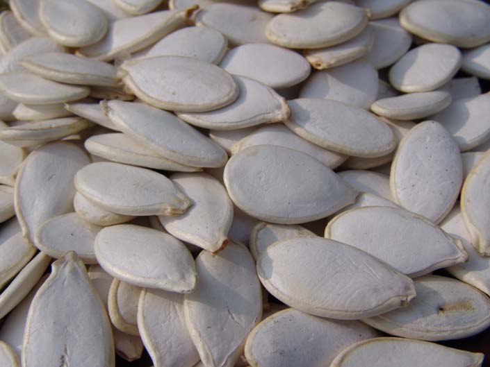 pumpkin seeds kernels