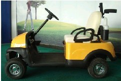 AX-D1-G(S-16)  golf cart