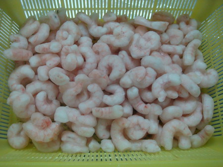 frozen red shrimp