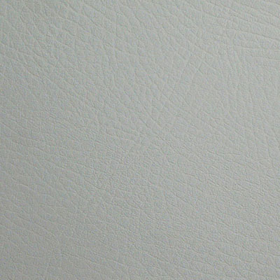 Garment Leather