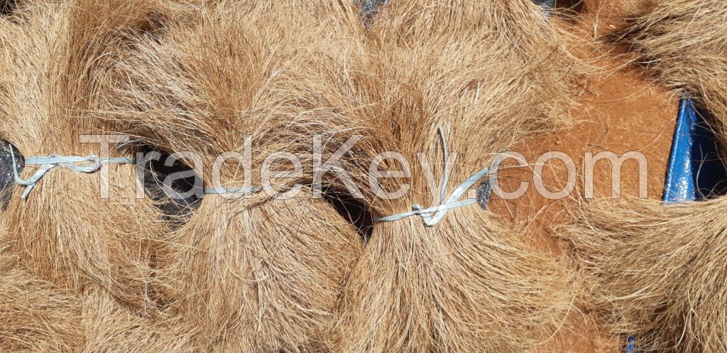 Coir Bristle Fiber