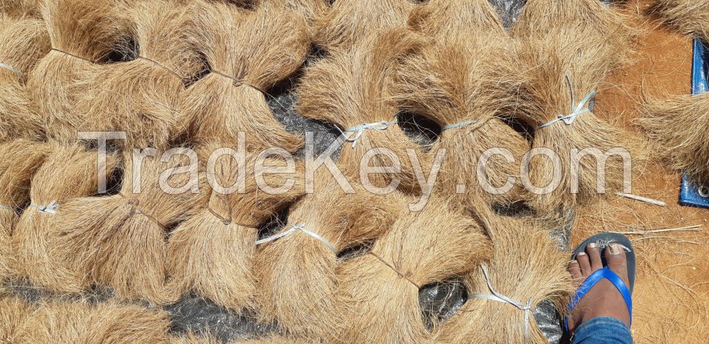 Coir Bristle Fiber