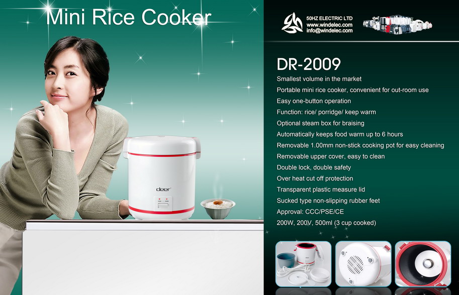 Mini rice cooker