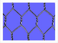 HEXAGONAL WIRE MESH