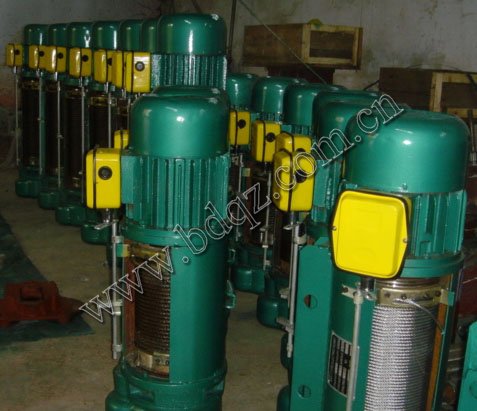 electric wire rope  hoist