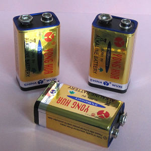 Alkaline Battery 6LR61/ 9V