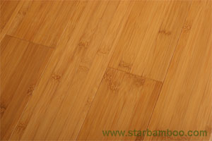 Bamboo Flooring