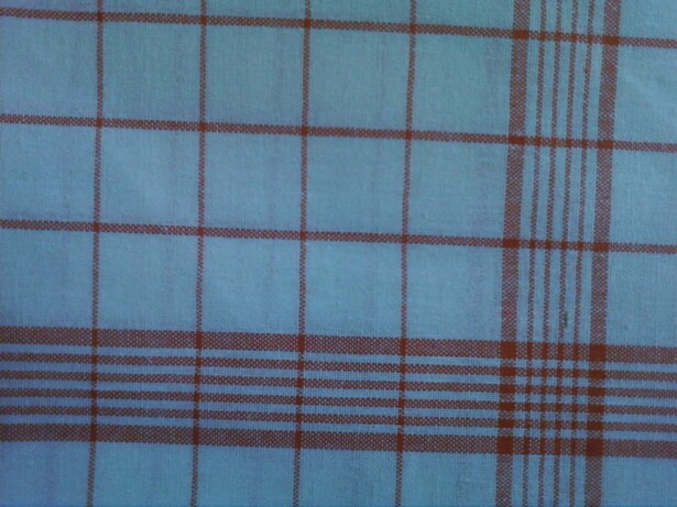 Checked Napkin