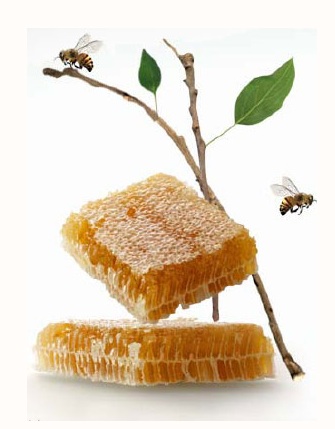 raw litchi honey/organic honey