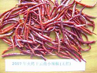 Sell yunnan chilli