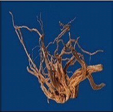Desert driftwood (Red wood)
