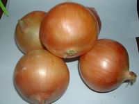 2 fresh chinese onion
