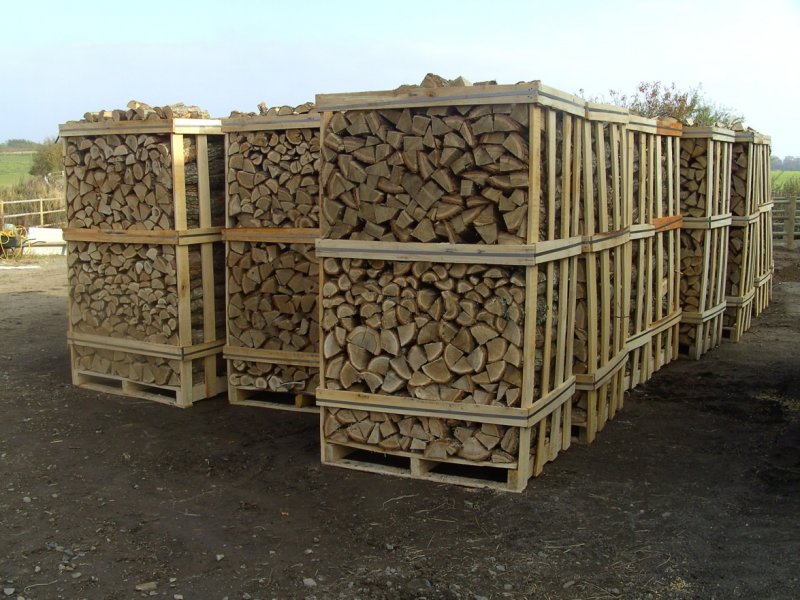 Firewood (oak, birch, pine)