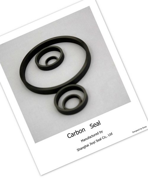 carbon graphite seal