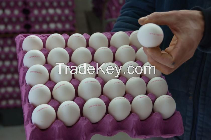 chicken eggs