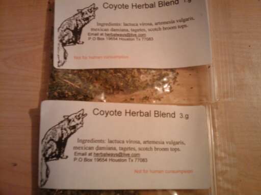 Coyote Herbal Blend
