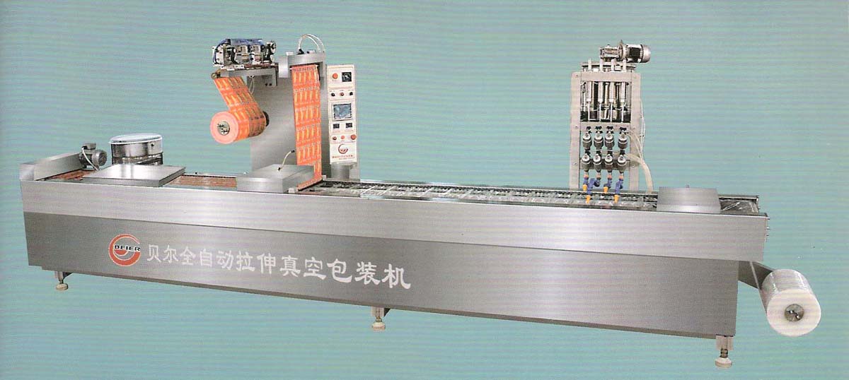 Continuous Rollstock Vacuum Packaging Machine (LZ-420)