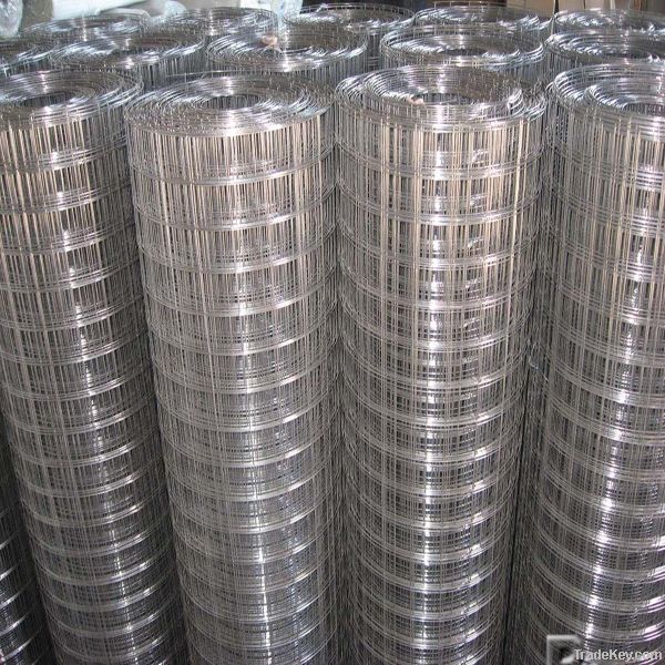 Galvanized Welded Wire Mesh