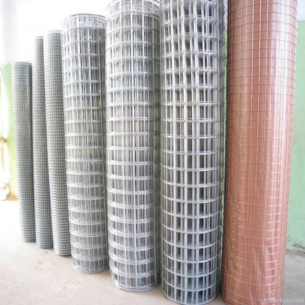 Galvanized Welded Wire Mesh