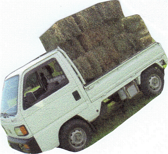 Japanese Mini-Trucks