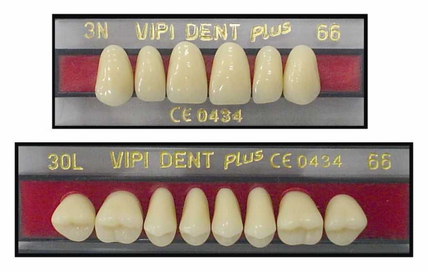 Acrylic Teeth - Vipi Dent Plus