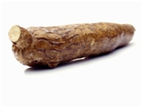 Cassava / Yuca /  (Manihot esculenta)