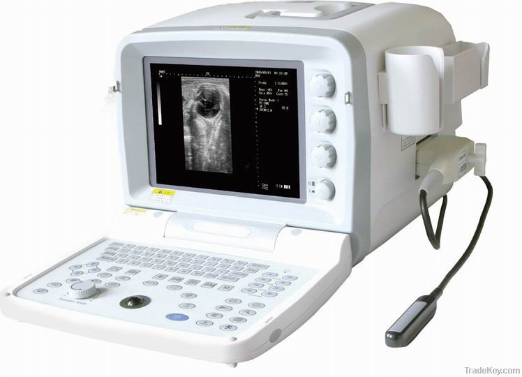 DIGITAL Veterinary Ultrasound Scanner BW510V