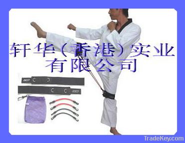 Taekwondo Exerciser